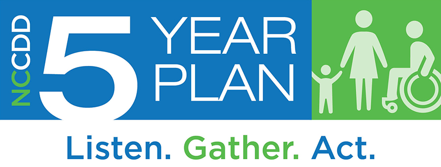 NCCDD Five Year Plan Logo