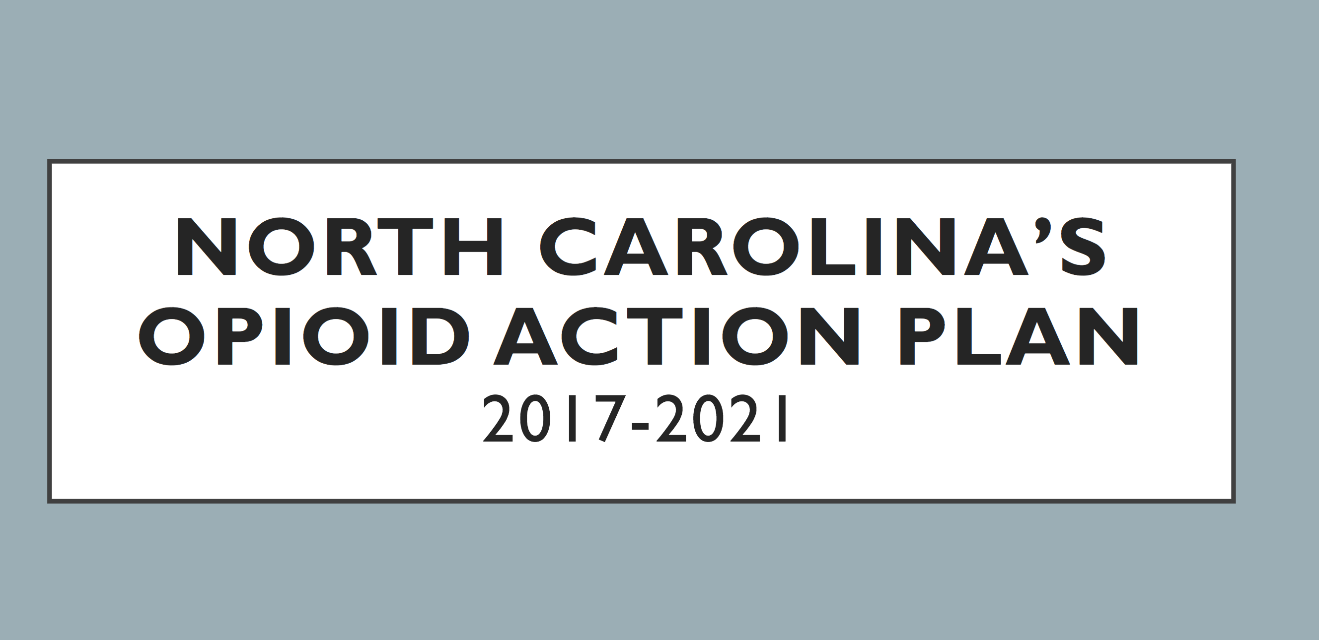 NC opiod Action plan