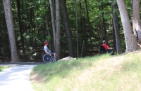 Picnic in the Park